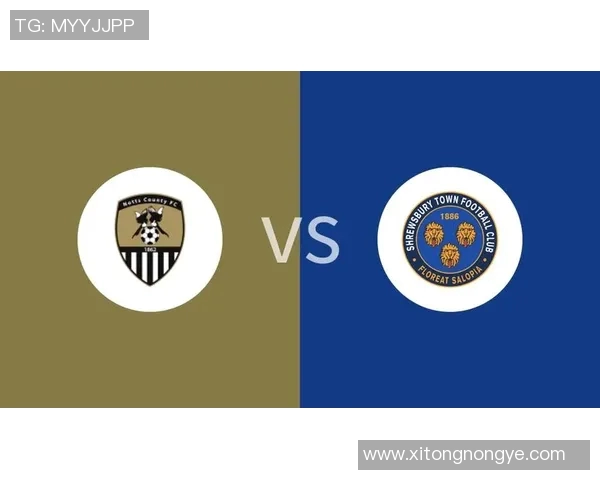 什鲁斯伯里对决分析与战术解析揭示球队未来发展潜力