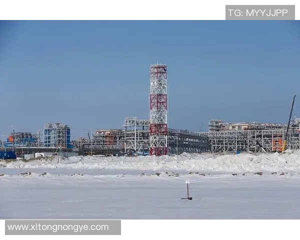 亚马尔地区的资源开发与国际合作前景分析及其对全球能源市场的影响